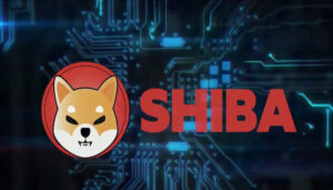 oque é shiba inu