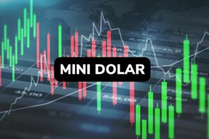O que é Mini dólar (WDO)